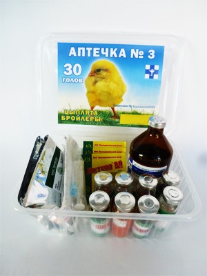 Заказать по почте